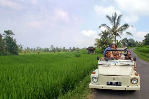 West Bali: Discover the Untouched by VW Cabrio Jeep