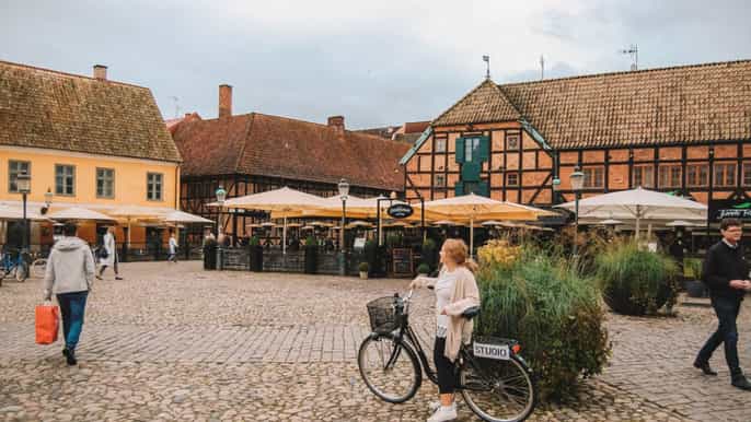 malmö 3hour private bike tour