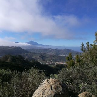 Santa Cruz de Tenerife: wandel 2 uur door het bos van Anaga
