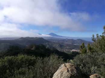 Santa Cruz de Tenerife: Excursión de senderismo de 2 horas por el Bosque de Anaga