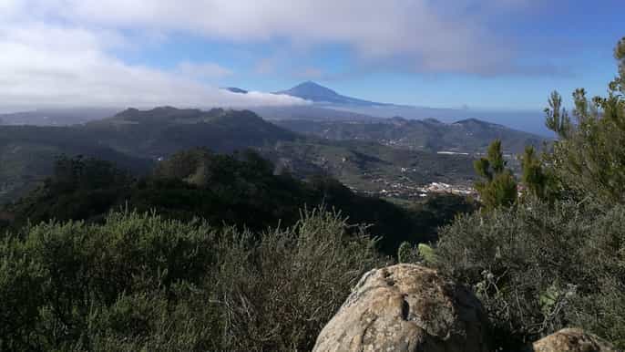 santa cruz de tenerife 2hour hiking tour in anaga forest