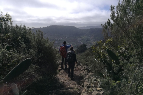 Santa Cruz de Tenerife : balade de 2 h dans la forêt d'Anaga