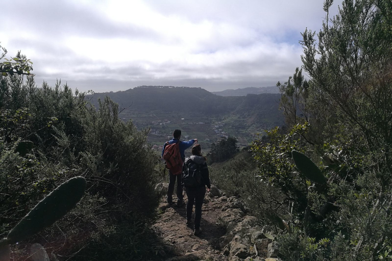 Santa Cruz de Tenerife : balade de 2 h dans la forêt d'Anaga