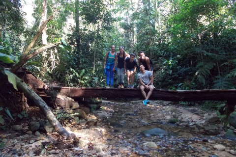 Tour guiado de senderismo Bico do Papagaio en el bosque de TijucaTour privado con transporte
