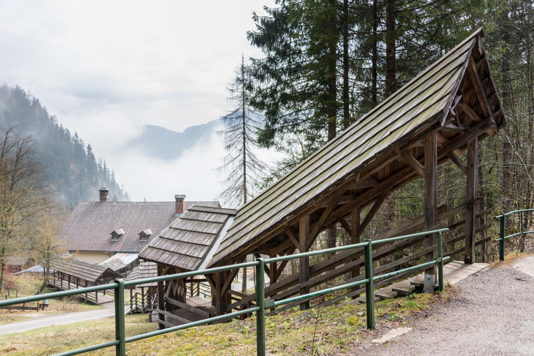 Skip-the-line Salt Mine Salzwelten Salzburg Private Car Tour 4-hour: Salzburg Salt Mine with Audio Guide
