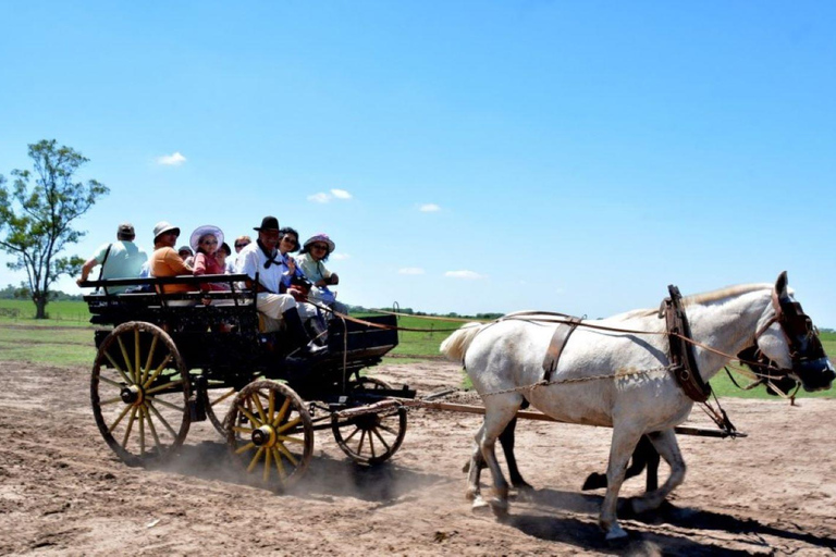Buenos Aires: Santa Susana Ranch Day Tour, BBQ & Shows