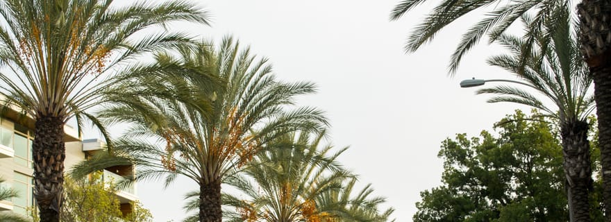 Los Angeles : Visite guidée privée de 3 heures avec guide de la région