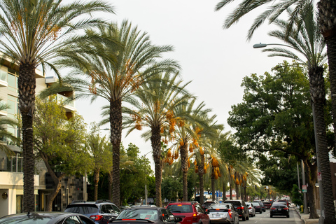 Los Angeles: 3-Hour Private Driving Tour w/ Local Guide