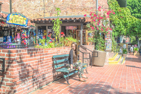 Los Angeles: 3-Hour Private Driving Tour w/ Local Guide