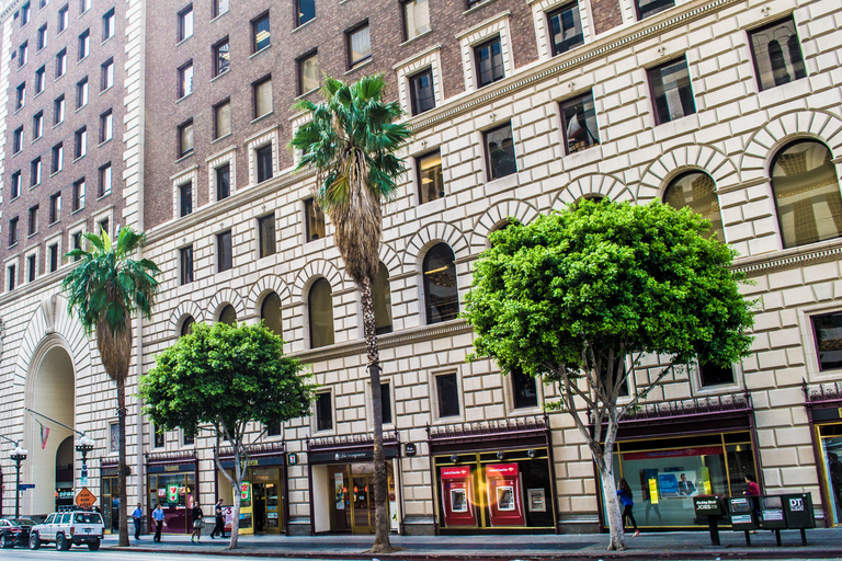 Los Angeles: 3-Hour Private Driving Tour w/ Local Guide