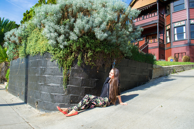 Los Angeles: 3-Hour Private Driving Tour w/ Local Guide