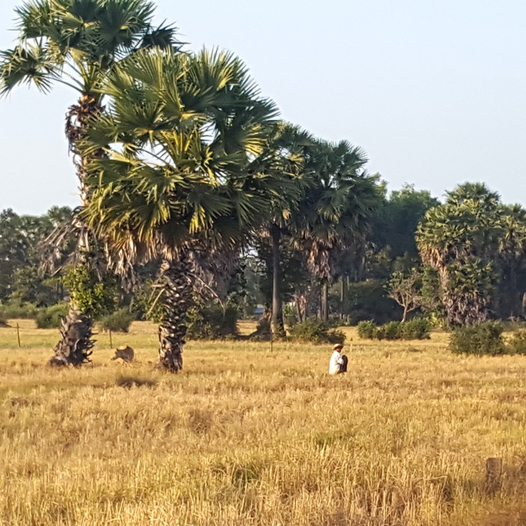 Colagem de mídia