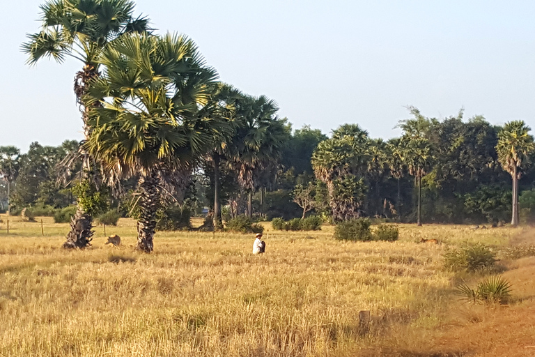 Siem Reap: 3-Hour Ancient Trails Motorbike Tour