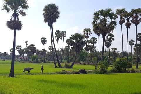 Siem Reap: 3-Hour Ancient Trails Motorbike Tour