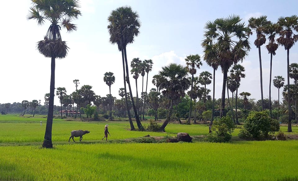 Siem Reap: 6-Hour Easy Rider Motorbike Tour | GetYourGuide