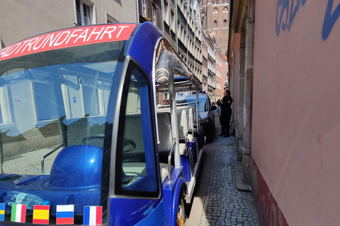 Danzig: VIP Stadtführung Golf Cart 2h+Gradowa Hill View PointDanzig: VIP City Sightseeing Tour Golf Cart 2h+Gradowa Hügel