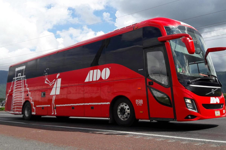 Cancun: Airport Transfer to/from Downtown by Bus Single Bus Ticket from Cancun Airport to Downtown Cancun