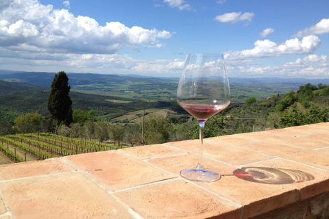 Découvrez les petites caves de brunello biologiques et biodynamiques