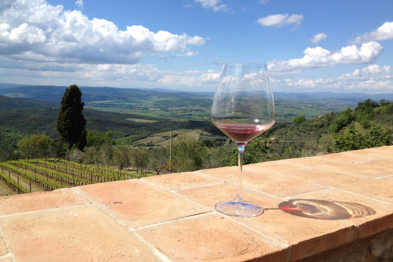 Découvrez les petites caves de brunello biologiques et biodynamiques