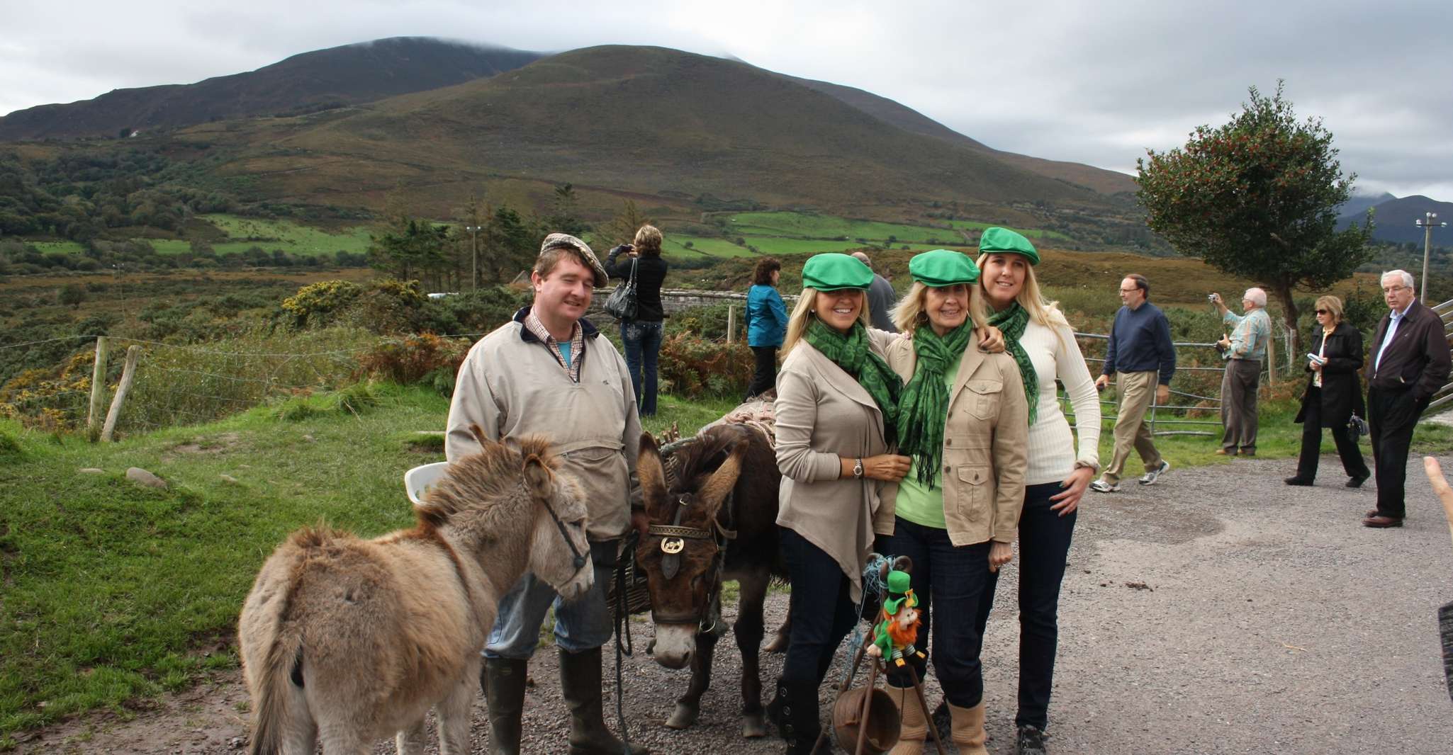 Ring of Kerry, Lakes of Killarney Scenic Coach Tour - Housity