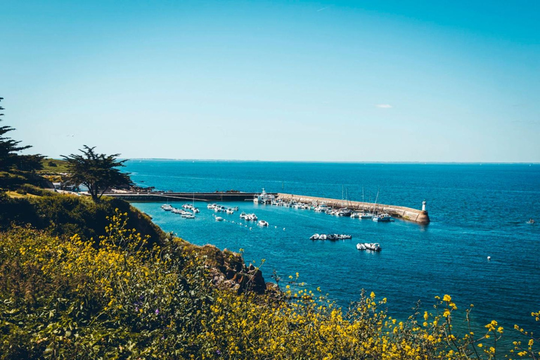 Port-Navalo: Houat Island Round-Trip Ferry