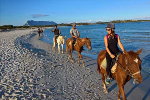 From Chia: Cagliari Half–Day Horseback Riding Tour