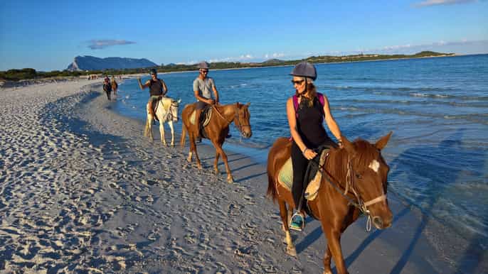 cagliari tour di mezza giornata a cavallo da chia