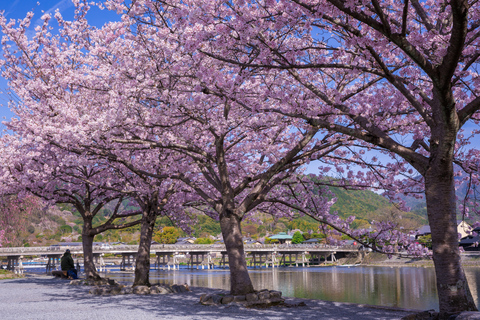 Kyoto/Osaka: Nijo Castle, Arashiyama, Kinkakuji Day Tour Kyoto Full Day Tour | Depart from Kyoto 9:00 AM