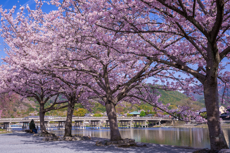 Kyoto/Osaka: Nijo Castle, Arashiyama, Kinkakuji Day Tour Kyoto Full Day Tour | Depart from Kyoto 9:00 AM