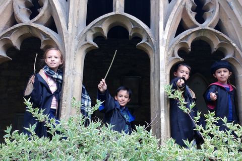 Oxford: tour di gruppo della Harry Potter Insights Divinity SchoolTour privato in francese