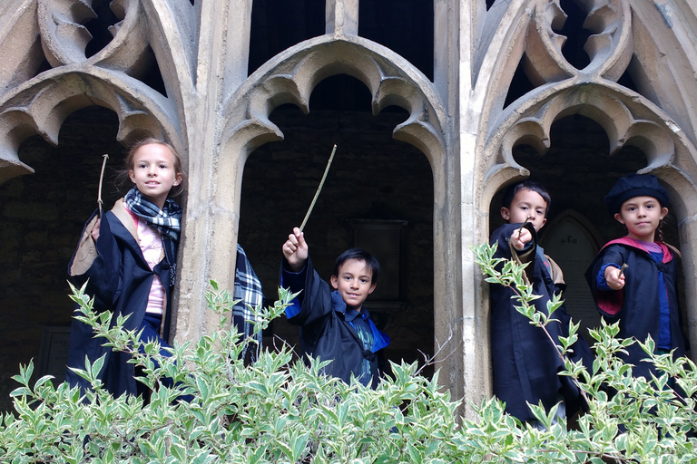 Oxford: tour di gruppo della Harry Potter Insights Divinity SchoolTour privato in spagnolo