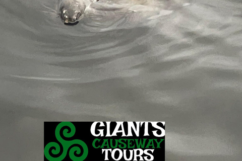 Belfast: VIP Private Giant's Causeway & Game of Thrones Tour