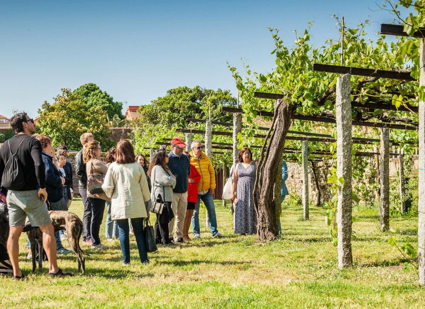 Fra Santiago: Tur til Rias Baixas med bådtur og vingård