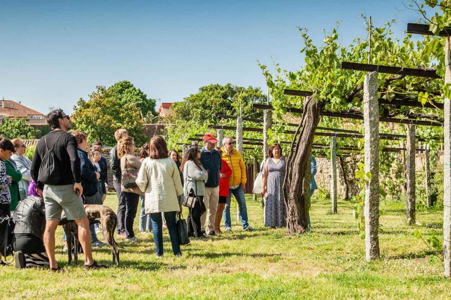 Da Santiago: Tour Rias Baixas con Barca e Cantina