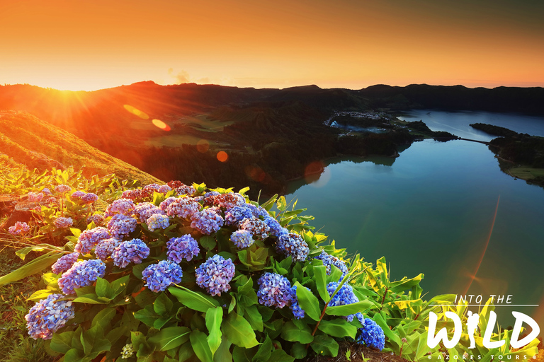 Sete Cidades et Lagoa do Fogo - Visite d&#039;une jounée