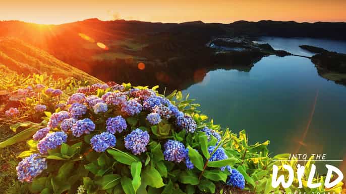 sete cidades lagoa do fogo tour with hot springs