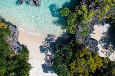 Kizimkazi: Pungume Island Full-Day Tour with Lunch