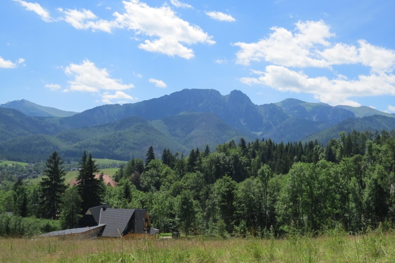 Van Krakau: excursie naar de stad Zakopane in het TatragebergteGroepsrondleiding met ophaalservice van het hotel