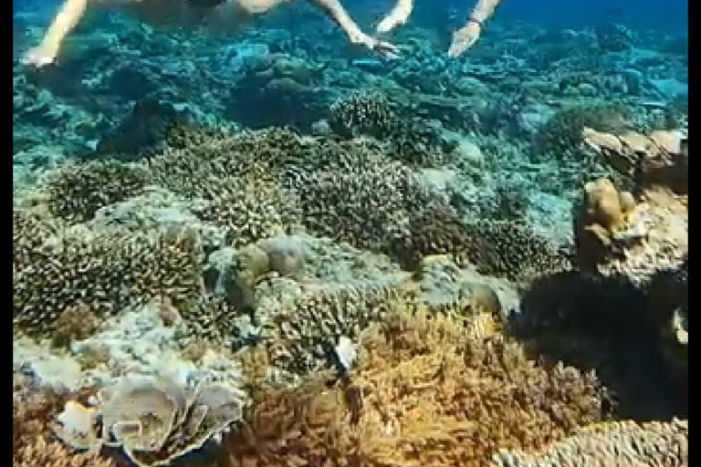 Lombok: Gili eilanden rondvaart met glazen bodem en snorkelen