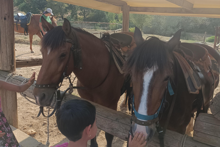 Thessaloniki:Horse Riding in a farmHorse riding in a farm