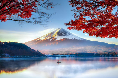 Da Tokyo: Tour privato del Monte Fuji e di Hakone di un giorno intero