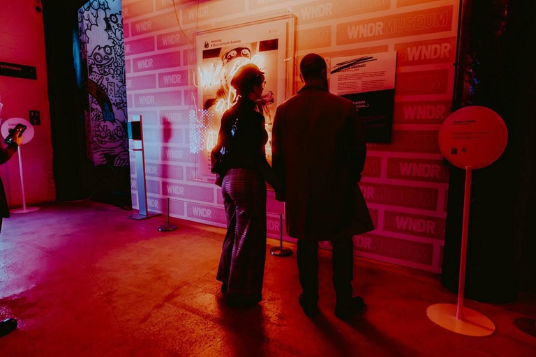 Chicago: bilet wstępu do muzeum WNDR