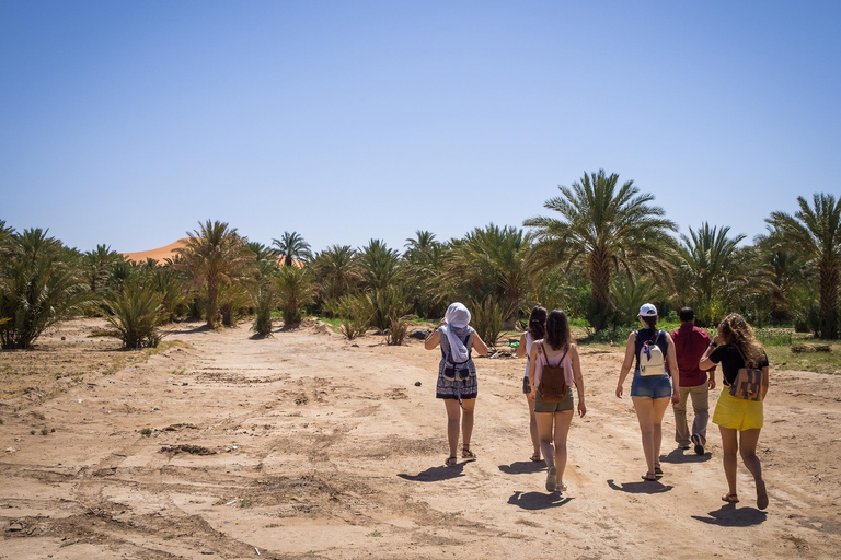 4-Day Private Desert Trip to Zagora & Merzouga From Agadir