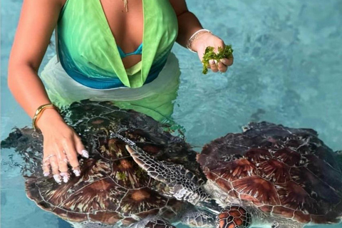 Zanzibar: Swimming with Turtles at Salaam cave in Kizimkazi Pick up all hotel location in Zanzibar