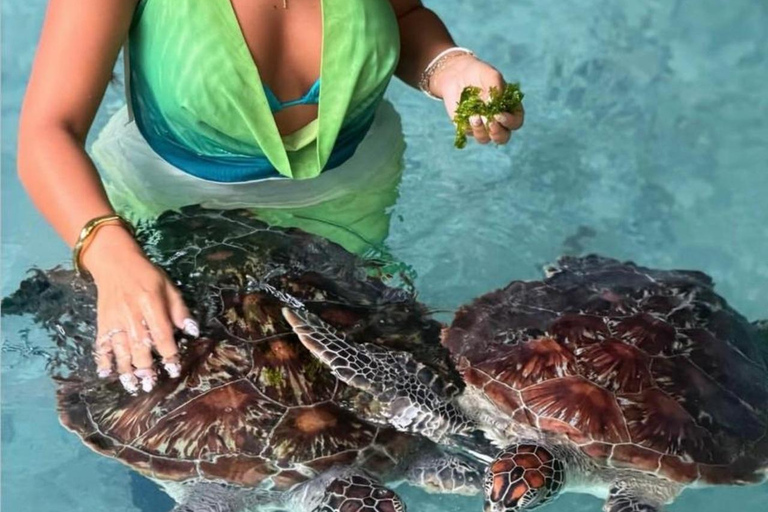 Zanzibar: Swimming with Turtles at Salaam cave in Kizimkazi Pick up all hotel location in Zanzibar