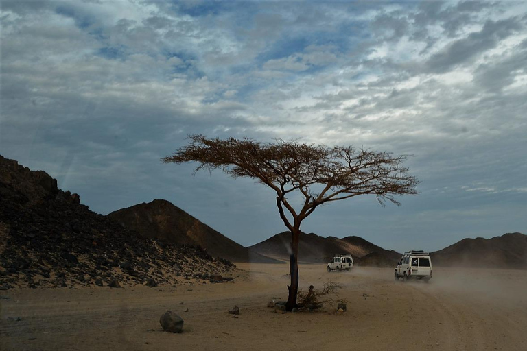 safari en jeep con paseo en camello, cena y espectáculoservicio de recogida del hotel en hurghada