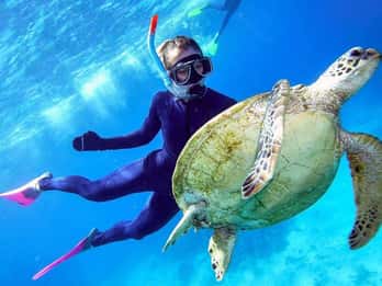 Ab Cairns: Great Barrier Reef Tour mit Marine World Pontoon Ab Cairns: Great Barrier Reef Tour mit Marine World Pontoon