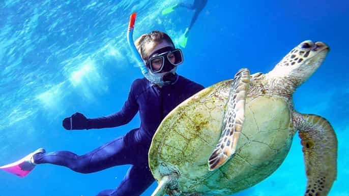 ultimate great barrier reef cruise with marine world pontoon