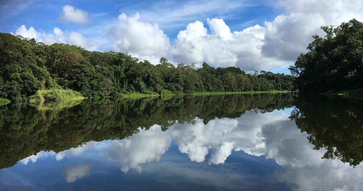 Kuranda Rainforest Riverboat Cruise | GetYourGuide