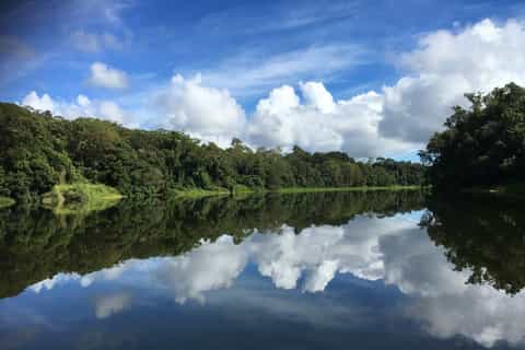 Kuranda Rainforest Riverboat Cruise